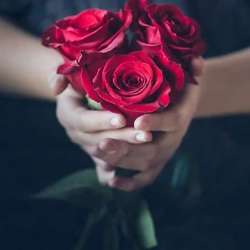 rafsanamir's Chat & Dating Profile